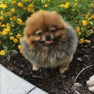 Meet your Posher, Eva